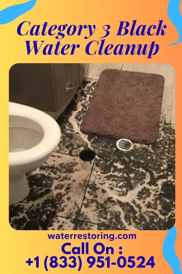 Category 3 Black Water Cleanup in Yorkville, NY