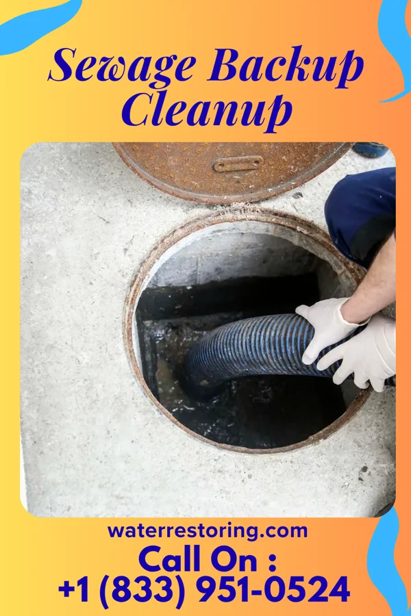 Sewage Backup Cleanup in Yorkville, NY