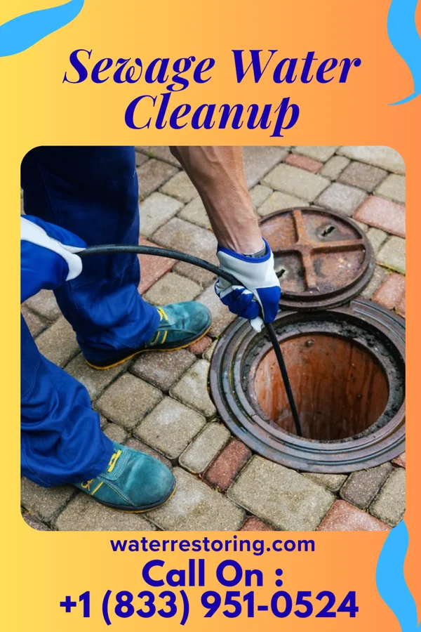 Sewage Water Cleanup in Yorkville, NY
