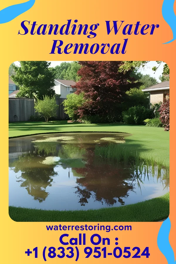 Standing Water Removal in Yorkville, NY